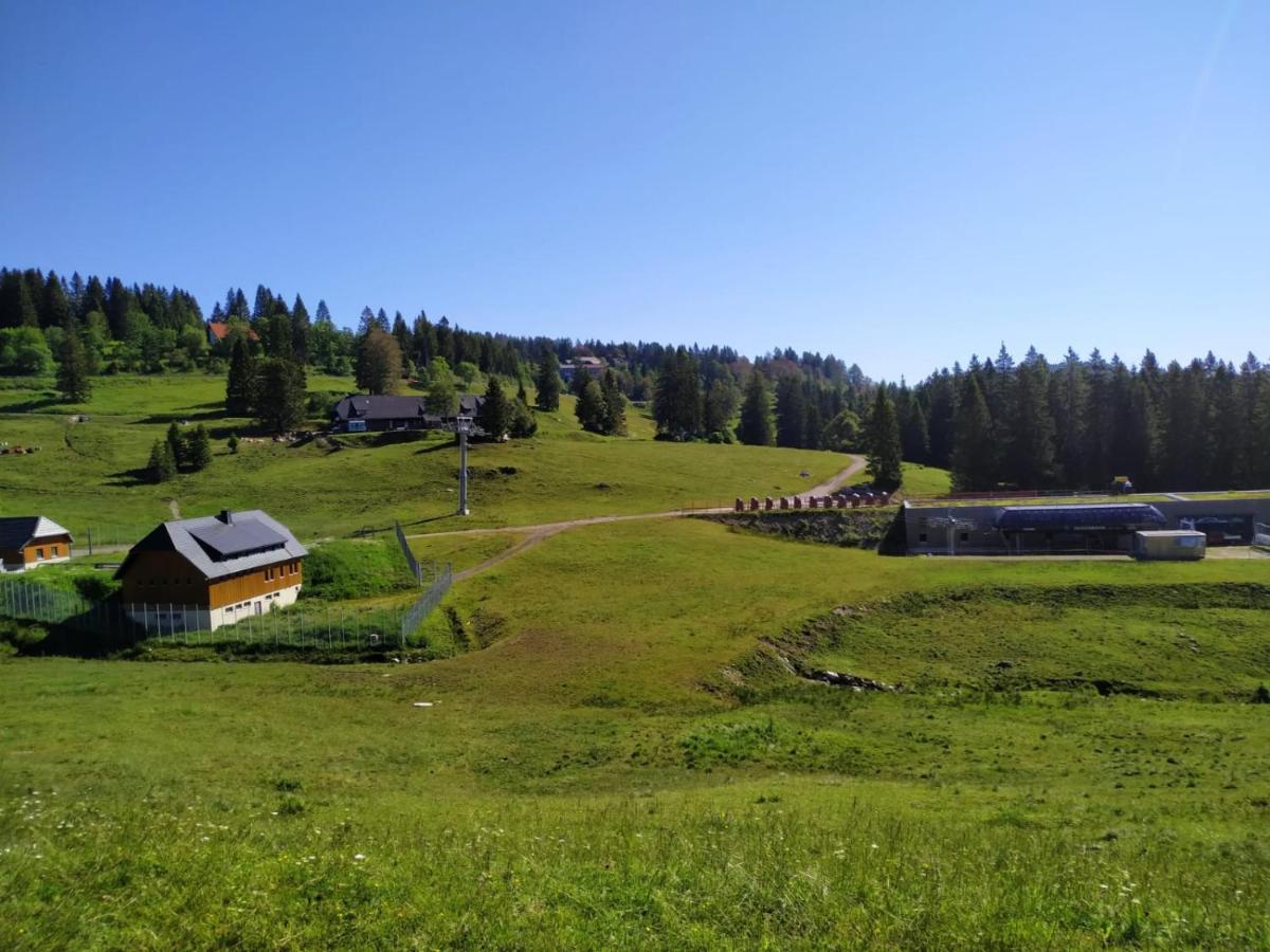 Ferienwohnung Feldberg - Residenz Grafenmatt Exterior photo